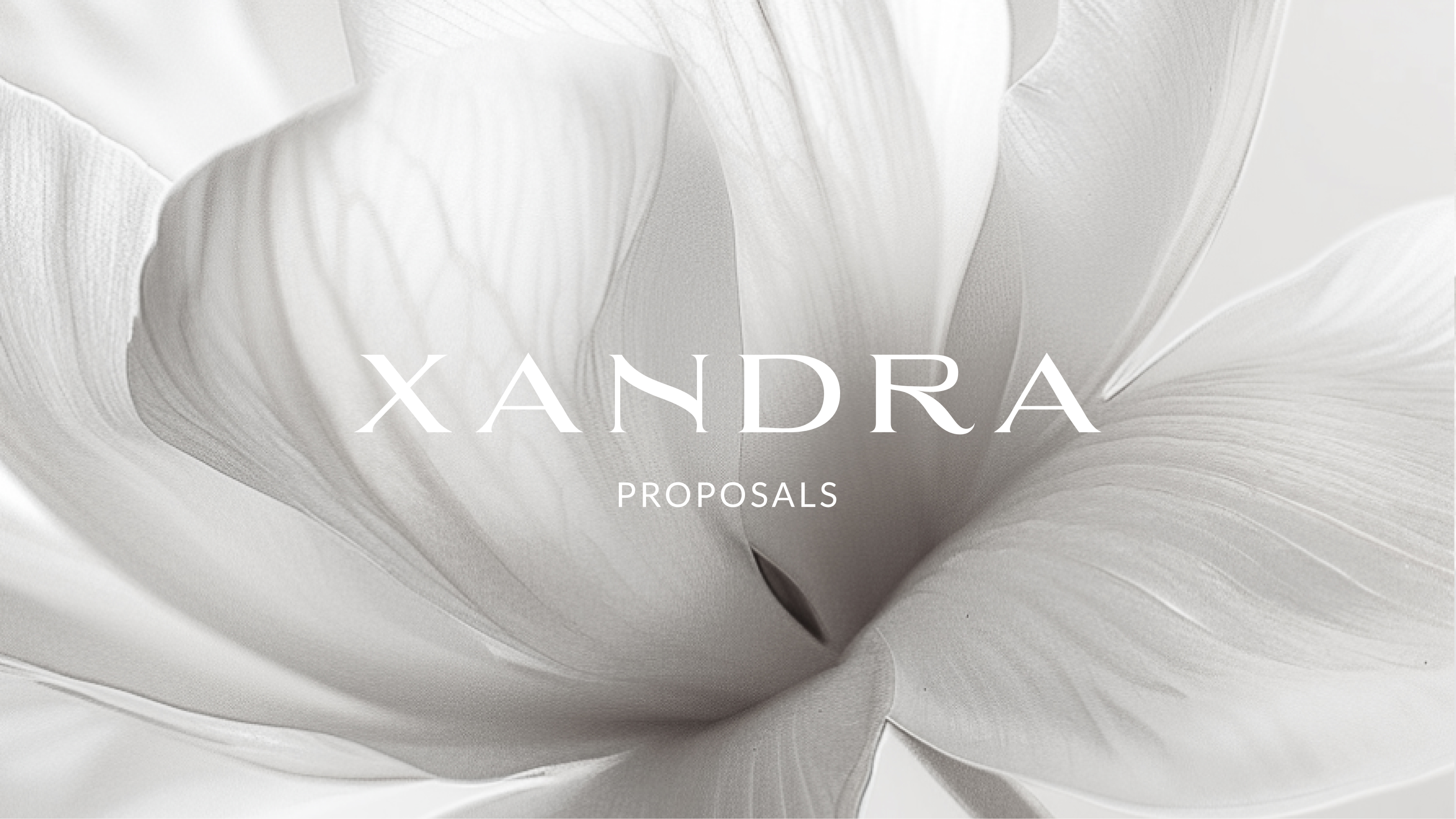 Stationery design of letterhead and business cards for the company Anders on top of a blurred photo of a house interior.